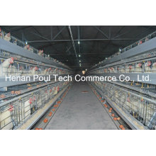 Hot Sale Galvanization Breeder Chicken Cage (A type)